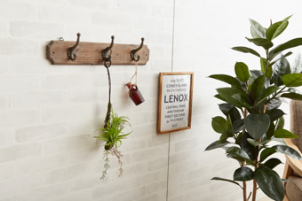 画像ギャラリー-2