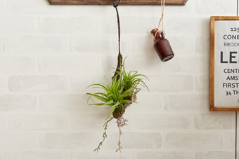 画像ギャラリー-4