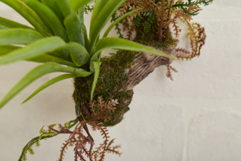 画像ギャラリー-5