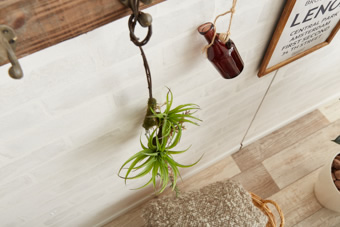 画像ギャラリー-2