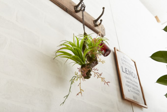 画像ギャラリー-5