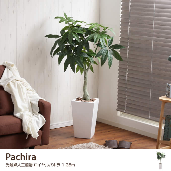 G 高さ1 35m Pachira 光触媒人工植物 ロイヤルパキラ 観葉植物 家具 インテリア通販は家具350 公式