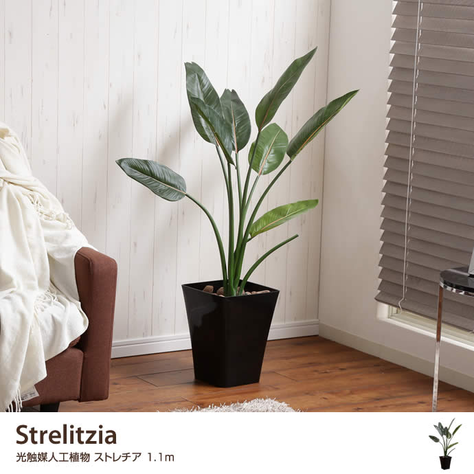 G 高さ1 1m Strelitzia 光触媒人工植物 ストレチア 観葉植物 家具 インテリア通販は家具350 公式