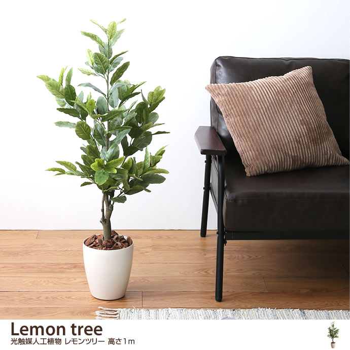 G Lemon Tree 光触媒人工植物 レモンツリー 高さ1m 観葉植物 家具 インテリア通販は家具350 公式