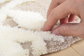 画像ギャラリー-3