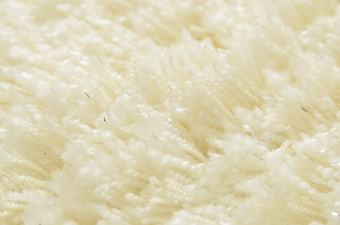 画像ギャラリー-3