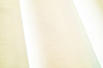 画像ギャラリー-2