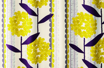 画像ギャラリー-2