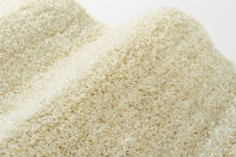 画像ギャラリー-4