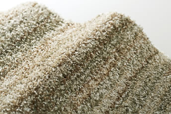 画像ギャラリー-7