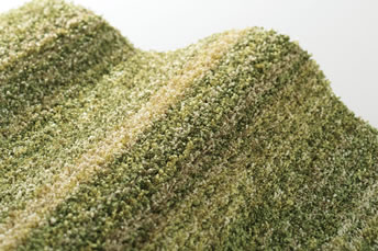 画像ギャラリー-9