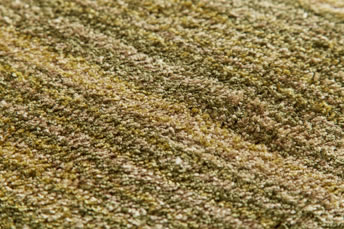 画像ギャラリー-4