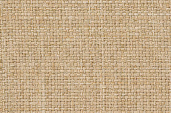 画像ギャラリー-2