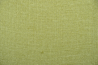 画像ギャラリー-6