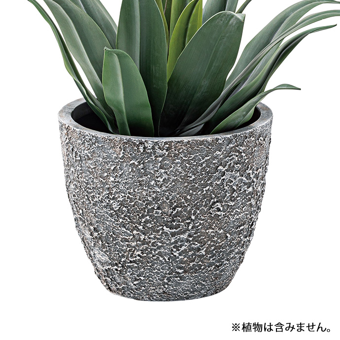 g1001246]【6号サイズ】 Boras グリーンベース 観葉植物 | 家具