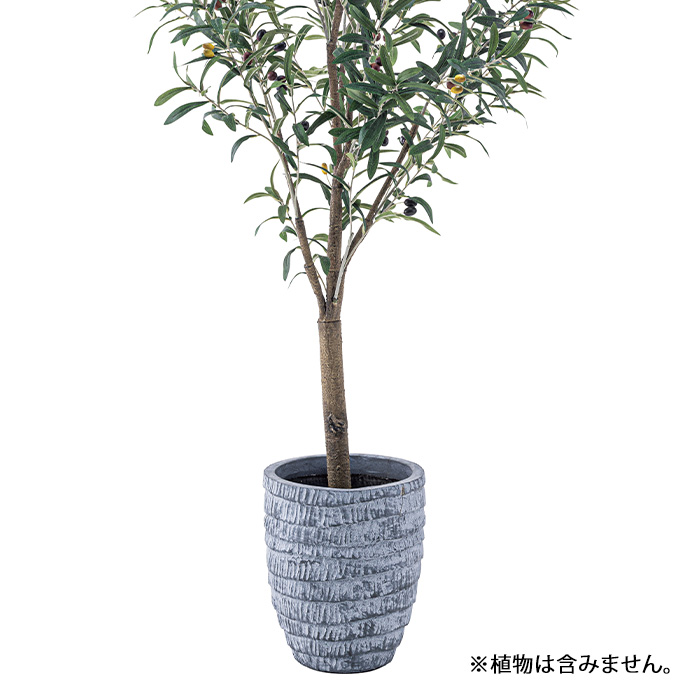 g1001248]【6号サイズ】 Boras グリーンベース 観葉植物 | 家具