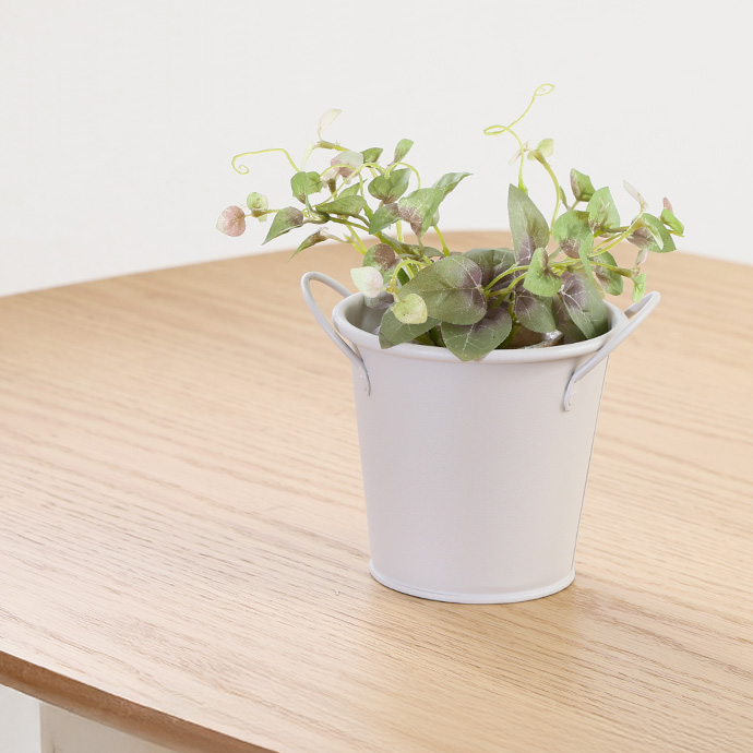 植物を引き立てる、すっきりとした佇まい