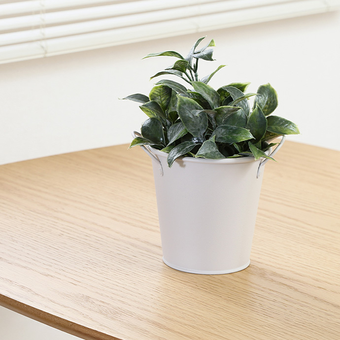 植物を引き立てる、すっきりとした佇まい