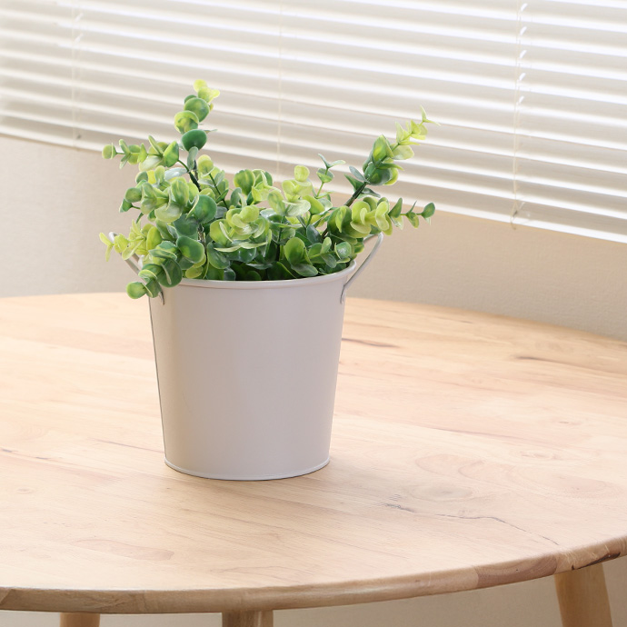 植物を引き立てる、すっきりとした佇まい