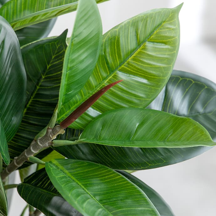 g162005]【高さ95cm】Nature 光触媒人工観葉植物 ゴムの木 観葉植物