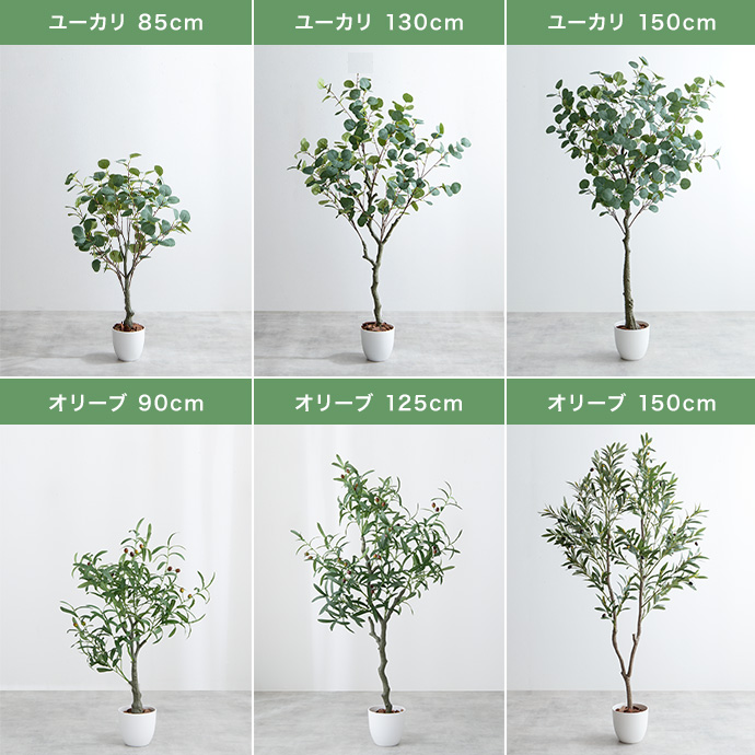 g162006]【高さ90cm】Nature 光触媒人工観葉植物 カポック 観葉植物