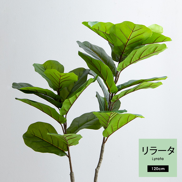 g162008]【高さ120cm】Nature 光触媒人工観葉植物 リラータ 観葉植物 | 家具・インテリア通販は家具350【公式】