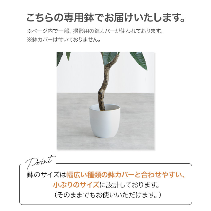 g162009]【高さ120cm】Nature 光触媒人工観葉植物 ベンジャミン 観葉植物 | 家具・インテリア通販は家具350【公式】