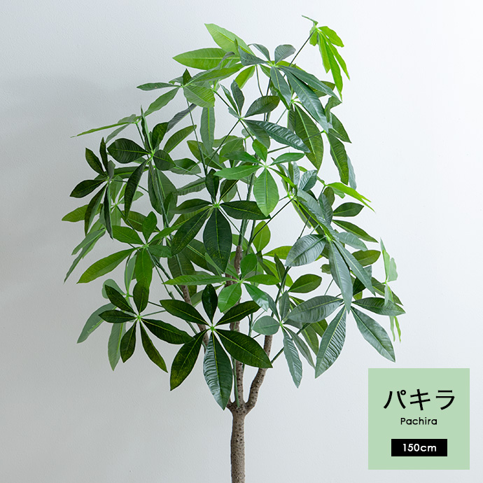 g162013]【高さ150cm】Nature 光触媒人工観葉植物 パキラ 観葉植物 | 家具・インテリア通販は家具350【公式】