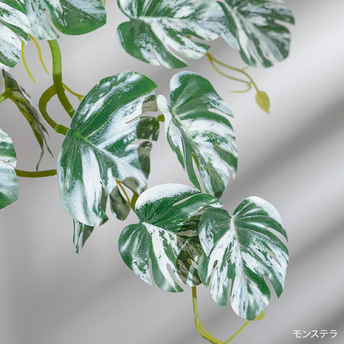 自然の植物のリアルさを追求したディテール