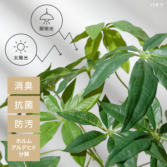 空気をきれいにする光触媒加工