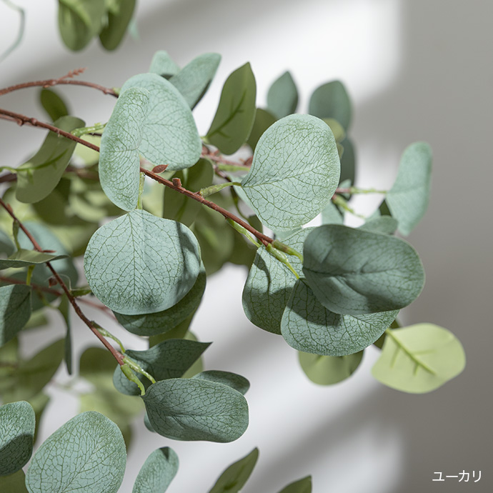 自然の植物のリアルさを追求したディテール