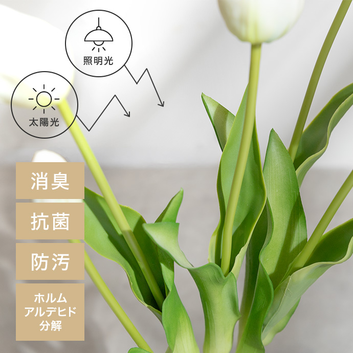 空気をきれいにする光触媒加工