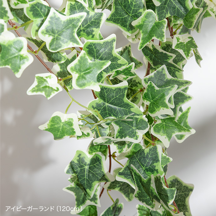 自然の植物のリアルさを追求したディテール